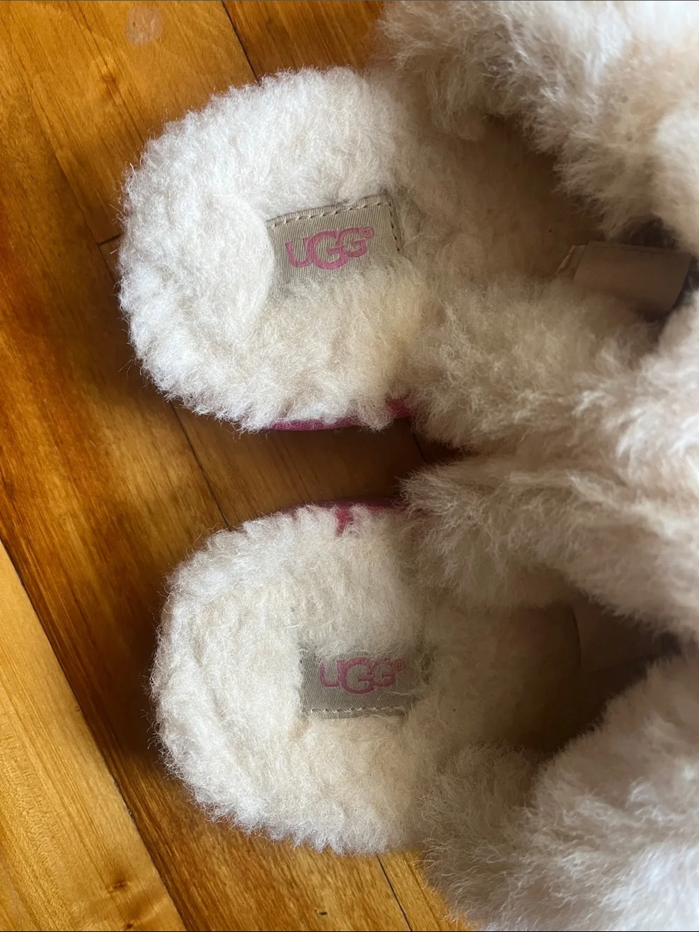 UGG Cozy II Slipper in Pink Azalea Kids 4 Women’s 6 wool lined